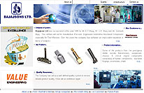 Royal Infotech Web Portfolio