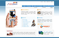 Royal Infotech Web Portfolio